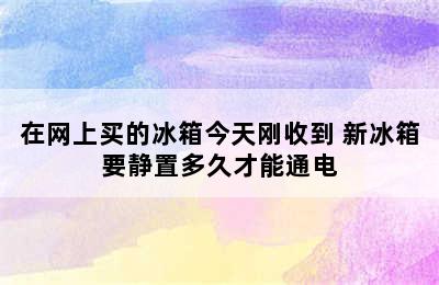 在网上买的冰箱今天刚收到 新冰箱要静置多久才能通电